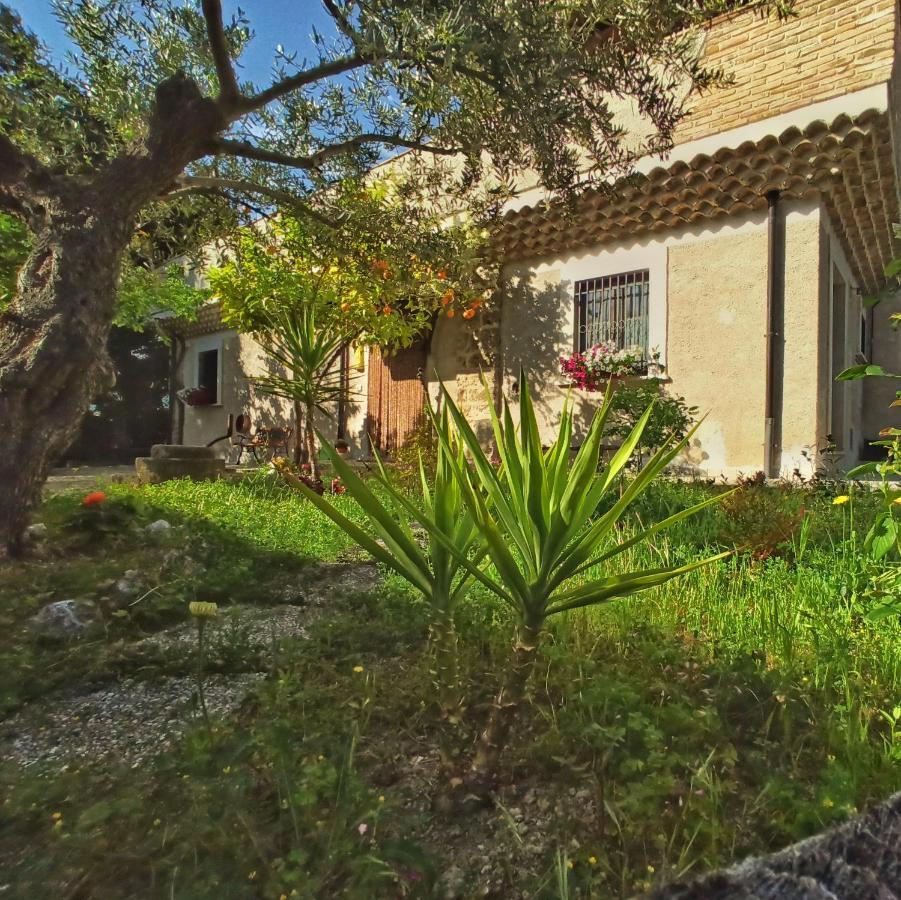 B&B La Masseria Del '700 Castiglione a Casauria Exteriör bild